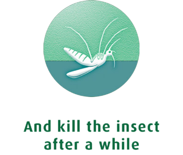 and kills the insect after a while