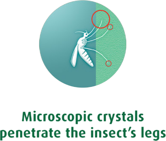 Microscopic crystals penetrate the insect's legs